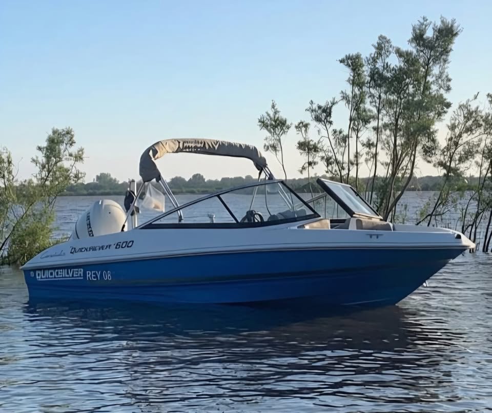 Marine Sur QuickSilver 1600 Evinrude 115HP ETEC
