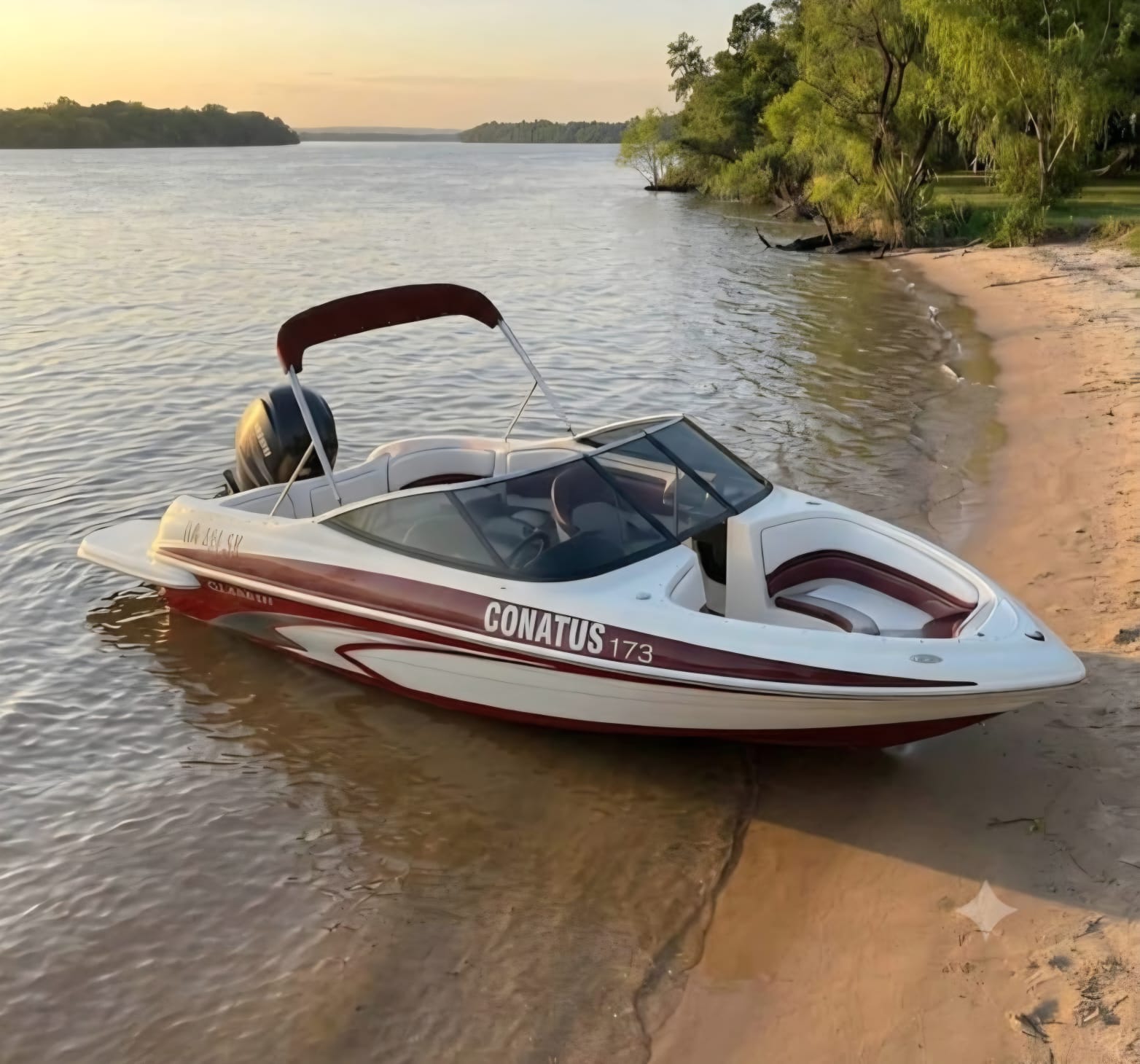 Classer Classer Mercury 115HP/4T