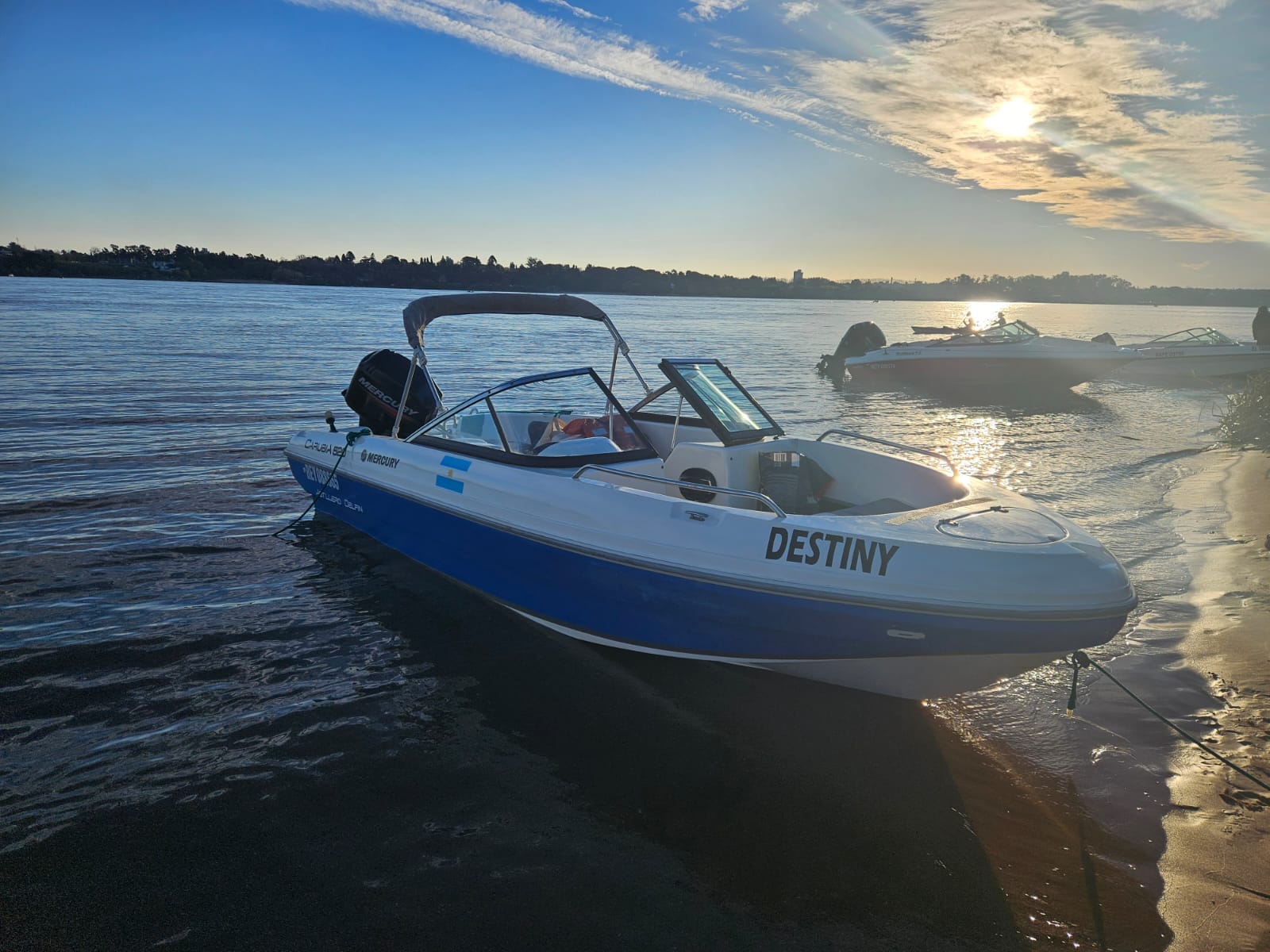 Delfin Carubia 520 Mercury 50HP/2T