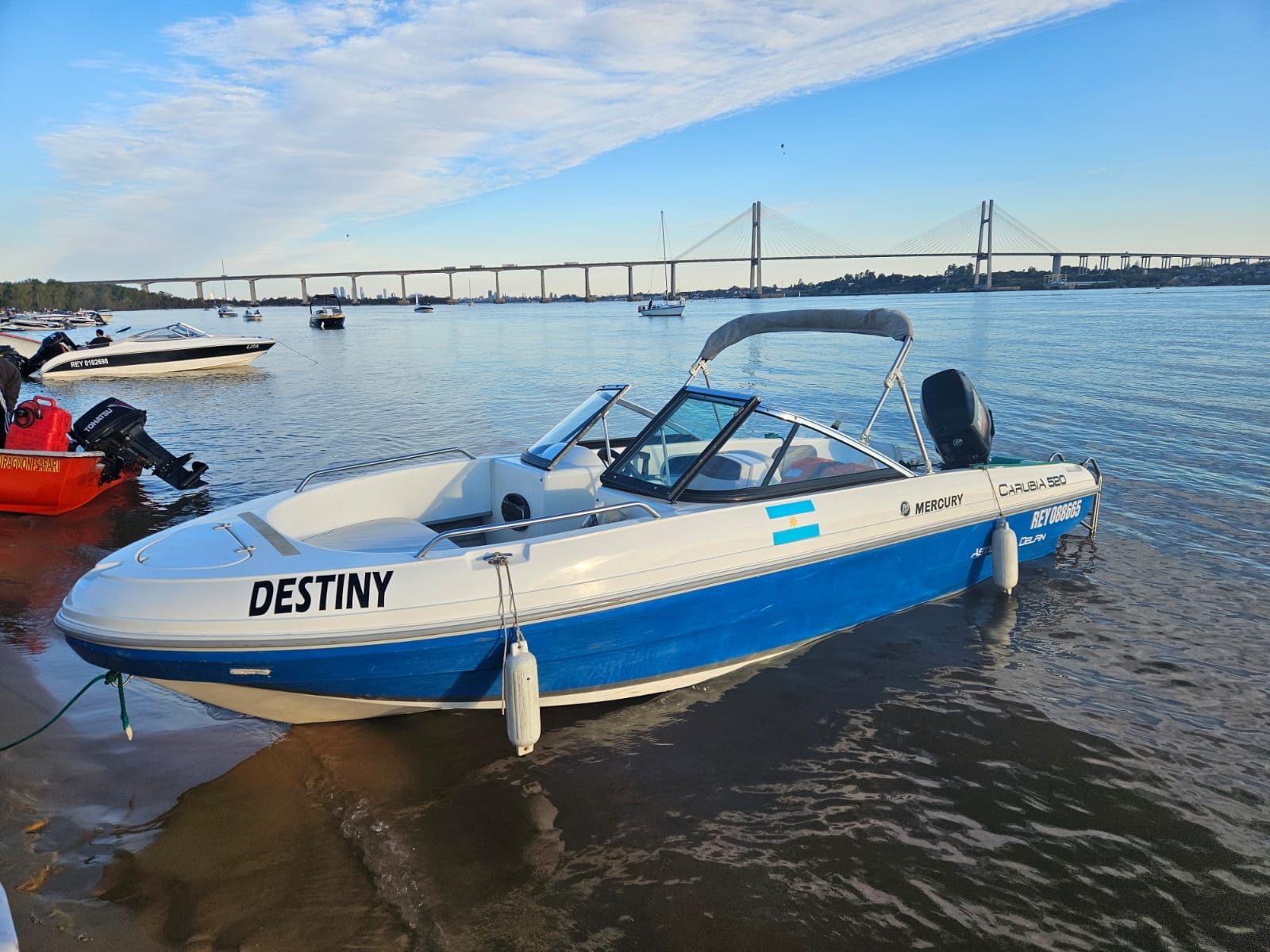 Delfin Carubia 520 Mercury 50HP/2T