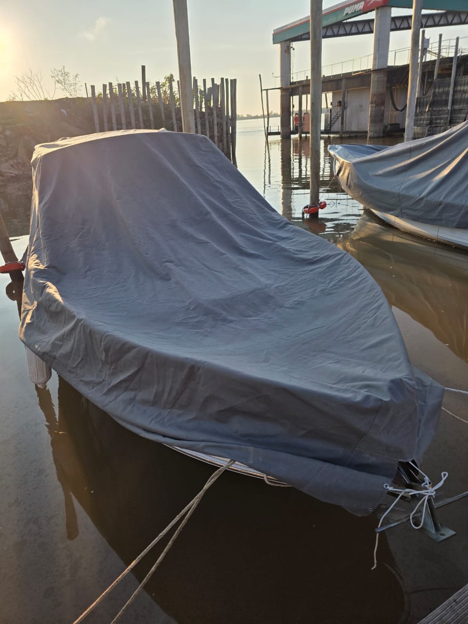 Canestrari 245 Honda BF 250