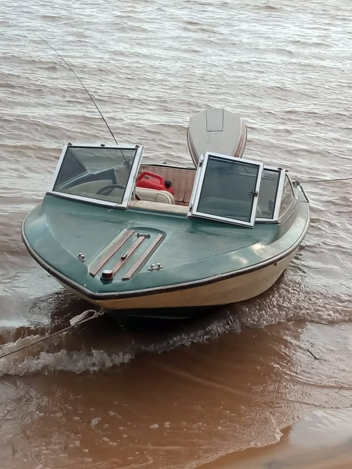 Caprice Caprice Johnson 115HP/4V