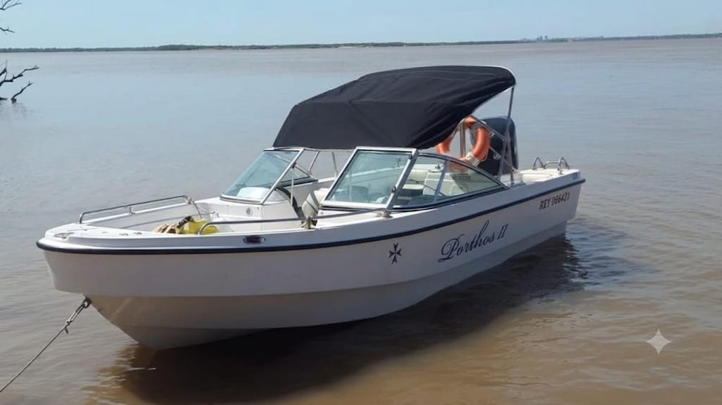 Electra 560 Mercury 115HP Optimax