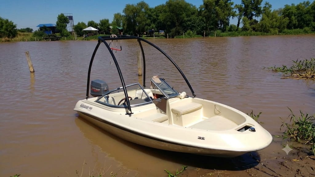 Marine Sur Quicksilver 490 Johnson 65HP/2T/ Sin Powertrim