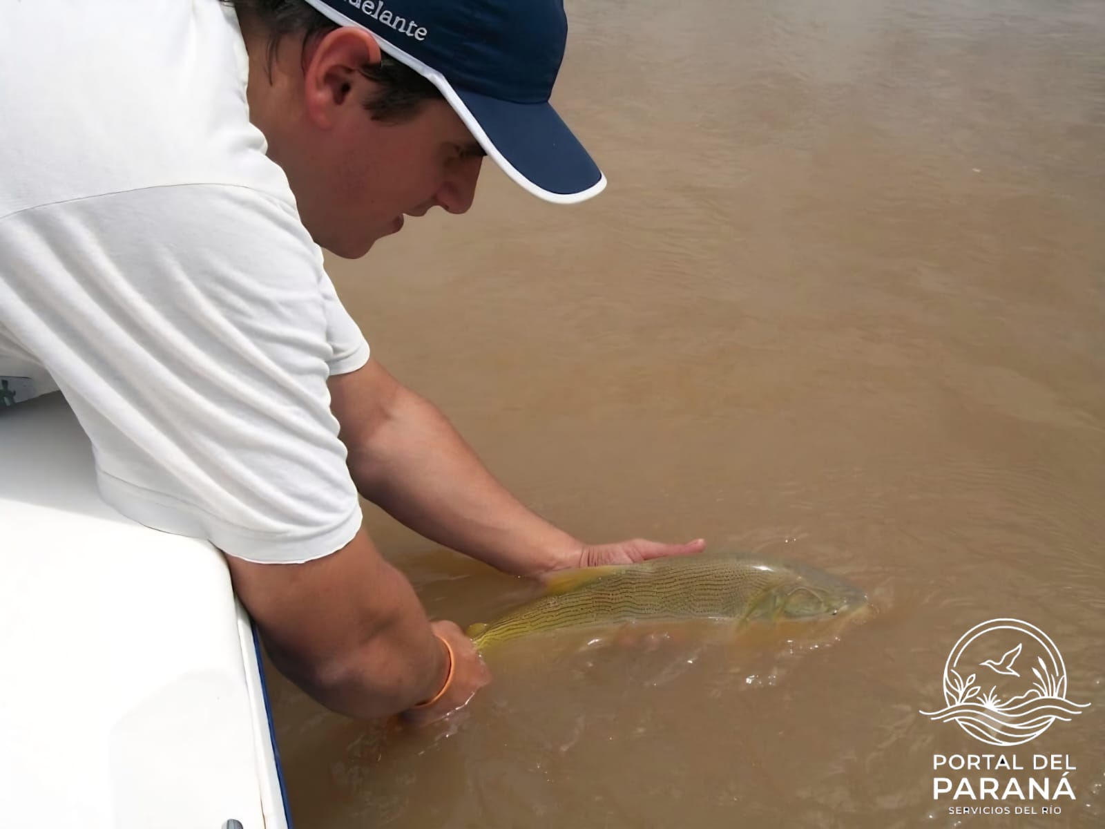 Pesca y devolución: cuidar el futuro del río Paraná