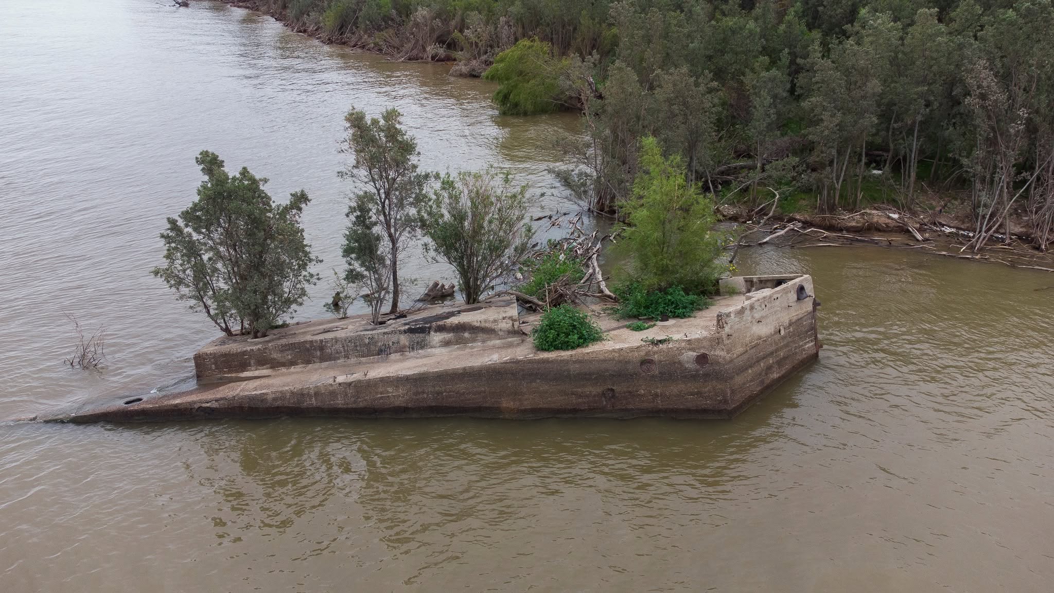 Los barcos de cemento del Paraná: gigantes varados en la memoria del río