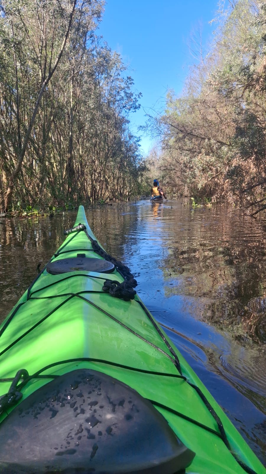 Evolución de los kayaks de travesía: del río a la aventura