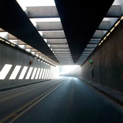 ¿El Túnel Subfluvial Santa Fe-Paraná afecta la migración de los peces?