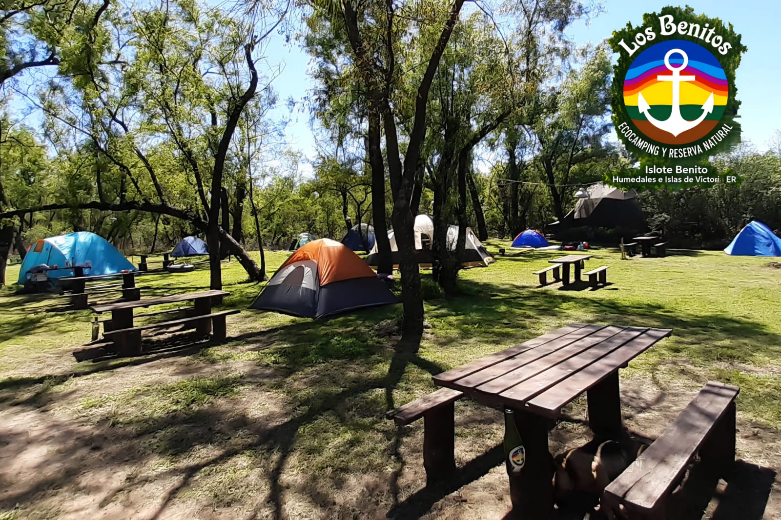 Los Benitos: una experiencia de naturaleza y cuidado del humedal frente a Rosario