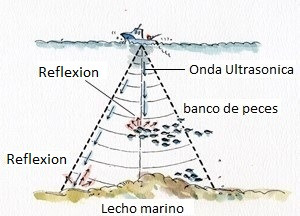 ¿Cómo funciona un ecosonda? La tecnología que revela lo que sucede bajo tu embarcación