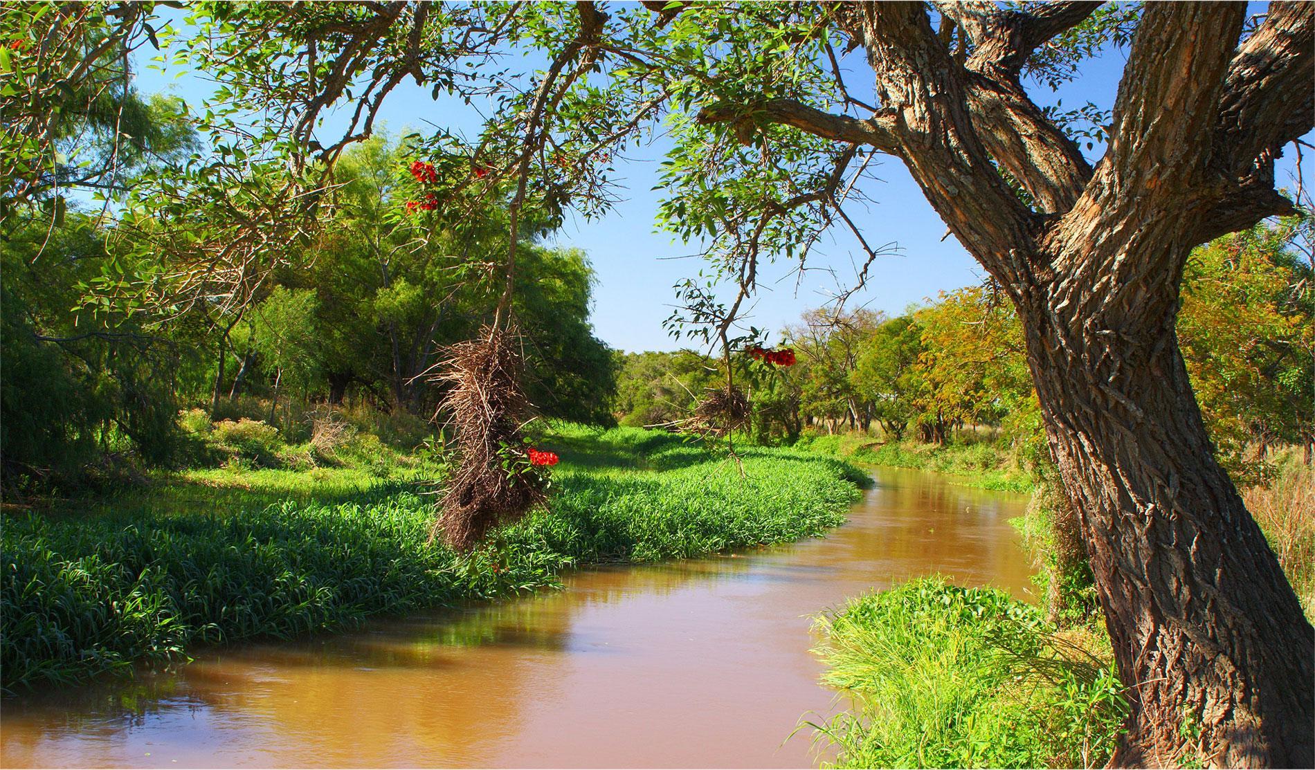 Parque Nacional Pre Delta: naturaleza, aventura y biodiversidad a orillas del Paraná