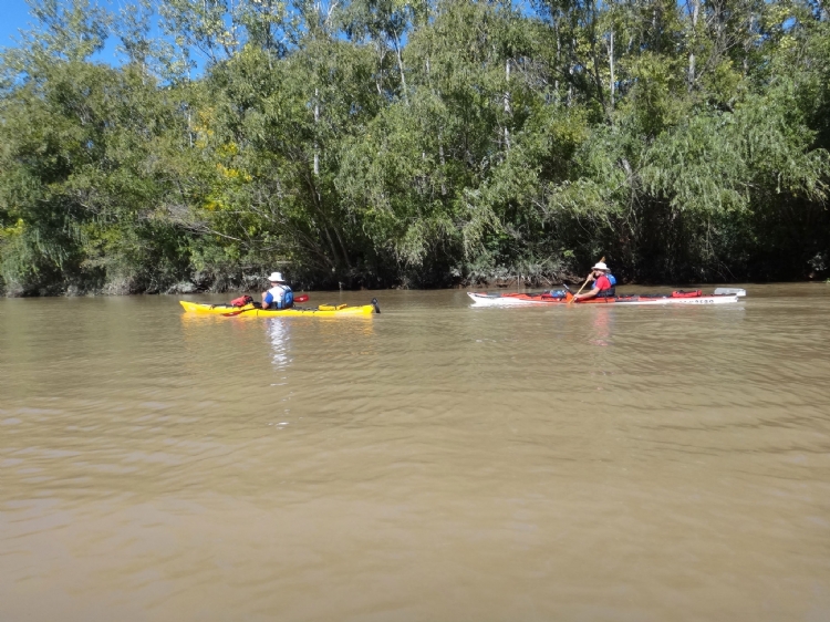 Travesías en kayak por el Delta: qué esperar de una salida entre islas