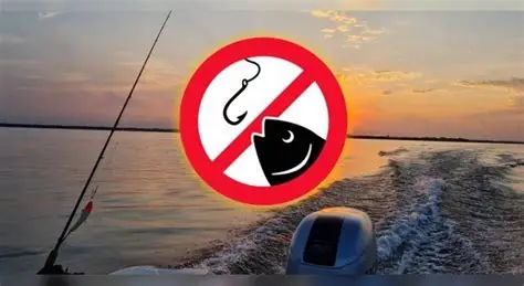 Vedas de pesca en el río Paraná: por qué son fundamentales para conservar el recurso