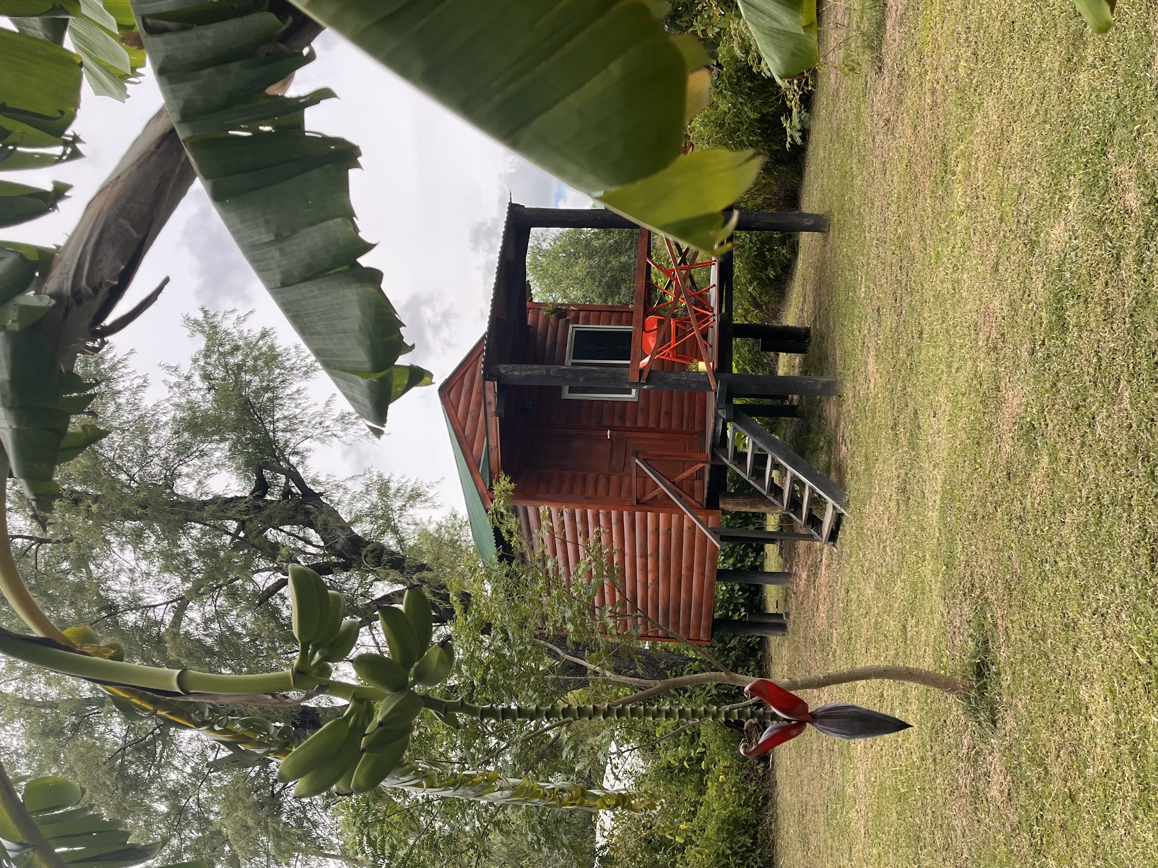 Los Benitos ecocamping