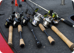 Central de Pesca